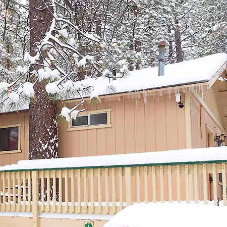 Sleepy Forest Cottages-2